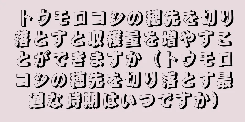 トウモロコシの穂先を切り落とすと収穫量を増やすことができますか（トウモロコシの穂先を切り落とす最適な時期はいつですか）