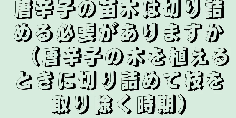 唐辛子の苗木は切り詰める必要がありますか（唐辛子の木を植えるときに切り詰めて枝を取り除く時期）