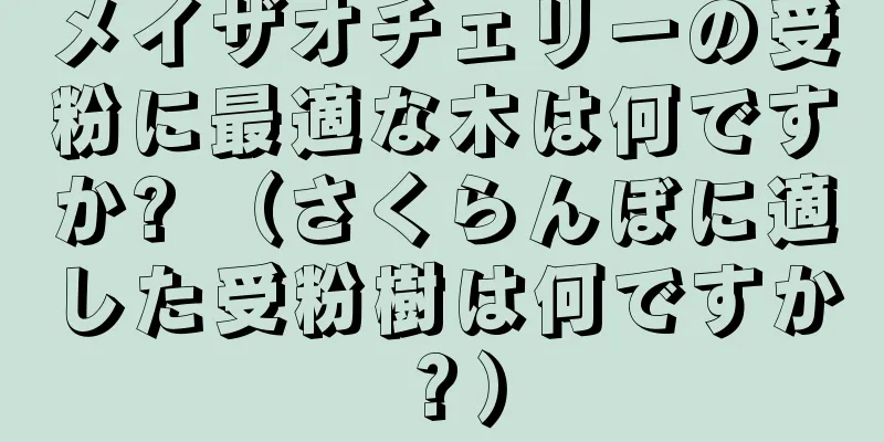 メイザオチェリーの受粉に最適な木は何ですか? （さくらんぼに適した受粉樹は何ですか？）