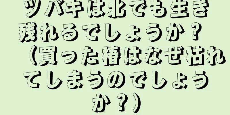 ツバキは北でも生き残れるでしょうか？ （買った椿はなぜ枯れてしまうのでしょうか？）