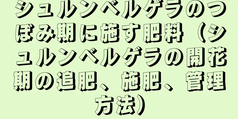 シュルンベルゲラのつぼみ期に施す肥料（シュルンベルゲラの開花期の追肥、施肥、管理方法）