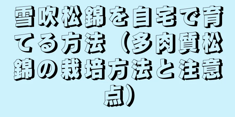 雪吹松錦を自宅で育てる方法（多肉質松錦の栽培方法と注意点）