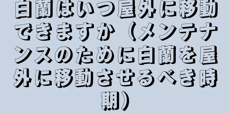 白蘭はいつ屋外に移動できますか（メンテナンスのために白蘭を屋外に移動させるべき時期）