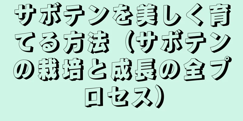 サボテンを美しく育てる方法（サボテンの栽培と成長の全プロセス）