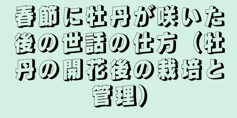 春節に牡丹が咲いた後の世話の仕方（牡丹の開花後の栽培と管理）