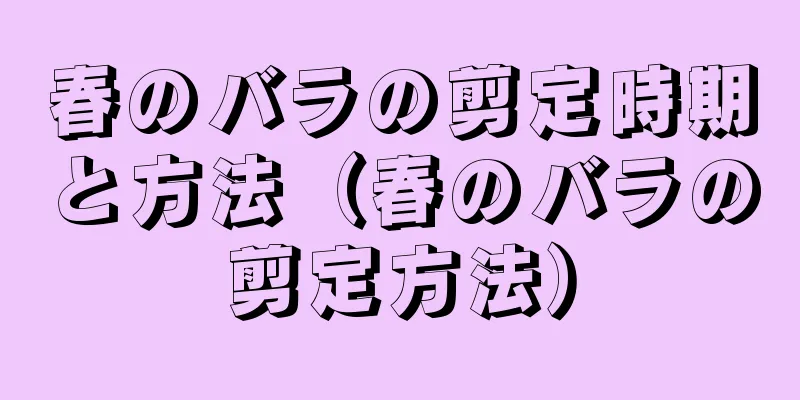 春のバラの剪定時期と方法（春のバラの剪定方法）