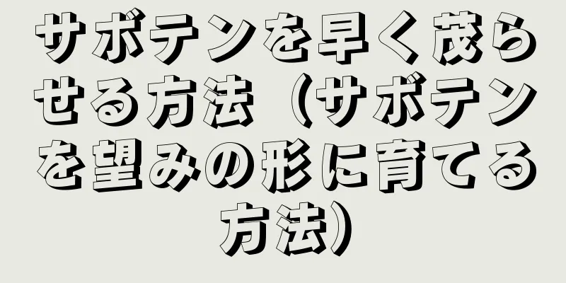 サボテンを早く茂らせる方法（サボテンを望みの形に育てる方法）