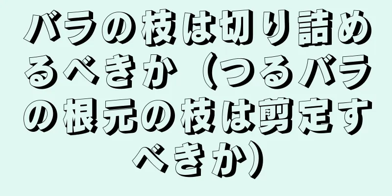 バラの枝は切り詰めるべきか（つるバラの根元の枝は剪定すべきか）
