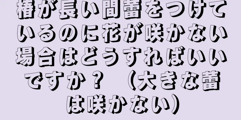 椿が長い間蕾をつけているのに花が咲かない場合はどうすればいいですか？ （大きな蕾は咲かない）
