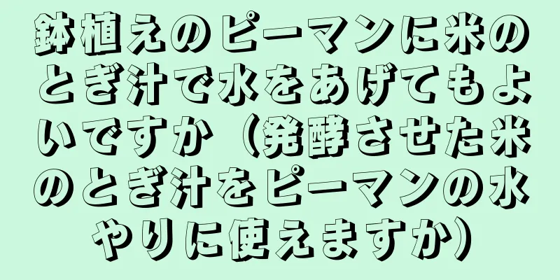 鉢植えのピーマンに米のとぎ汁で水をあげてもよいですか（発酵させた米のとぎ汁をピーマンの水やりに使えますか）