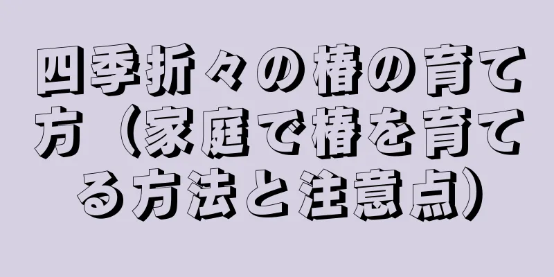 四季折々の椿の育て方（家庭で椿を育てる方法と注意点）
