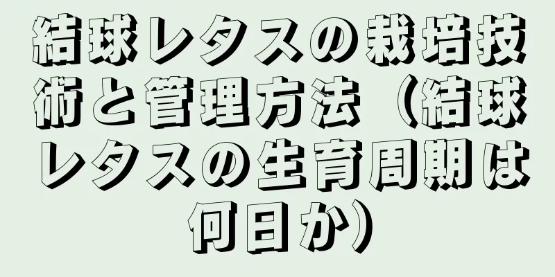結球レタスの栽培技術と管理方法（結球レタスの生育周期は何日か）