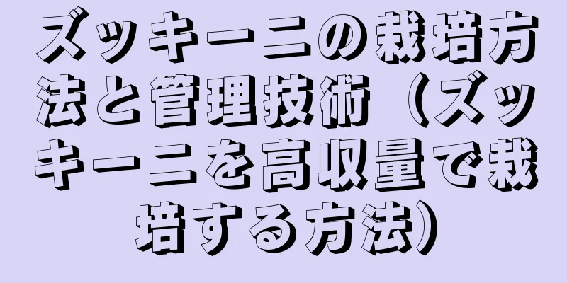 ズッキーニの栽培方法と管理技術（ズッキーニを高収量で栽培する方法）