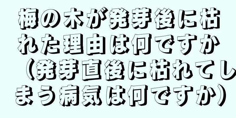 梅の木が発芽後に枯れた理由は何ですか（発芽直後に枯れてしまう病気は何ですか）
