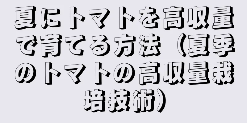 夏にトマトを高収量で育てる方法（夏季のトマトの高収量栽培技術）