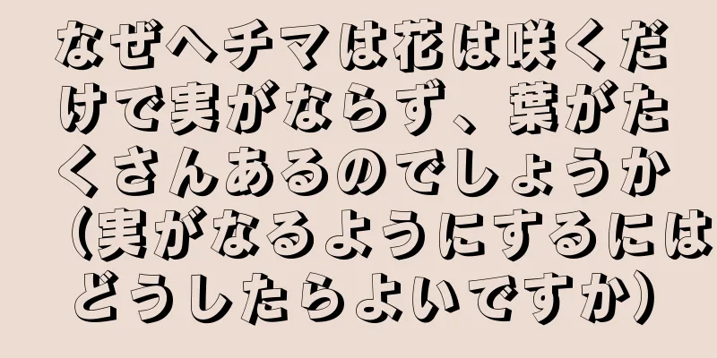 なぜヘチマは花は咲くだけで実がならず、葉がたくさんあるのでしょうか（実がなるようにするにはどうしたらよいですか）