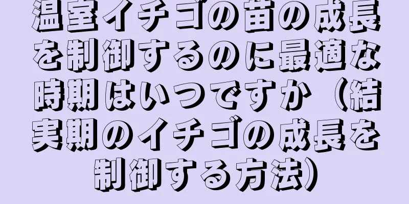 温室イチゴの苗の成長を制御するのに最適な時期はいつですか（結実期のイチゴの成長を制御する方法）