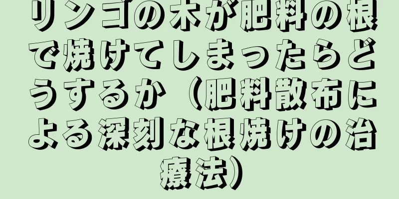 リンゴの木が肥料の根で焼けてしまったらどうするか（肥料散布による深刻な根焼けの治療法）