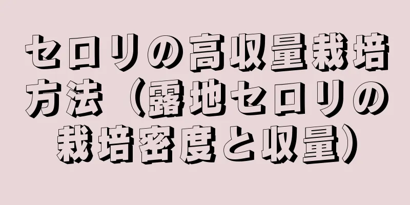 セロリの高収量栽培方法（露地セロリの栽培密度と収量）