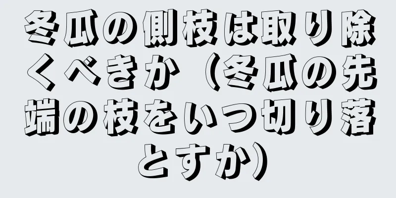 冬瓜の側枝は取り除くべきか（冬瓜の先端の枝をいつ切り落とすか）