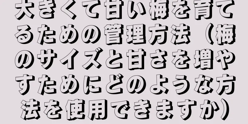 大きくて甘い梅を育てるための管理方法（梅のサイズと甘さを増やすためにどのような方法を使用できますか）