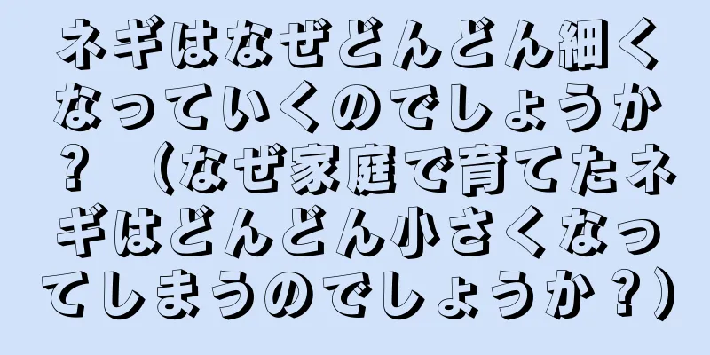 ネギはなぜどんどん細くなっていくのでしょうか？ （なぜ家庭で育てたネギはどんどん小さくなってしまうのでしょうか？）
