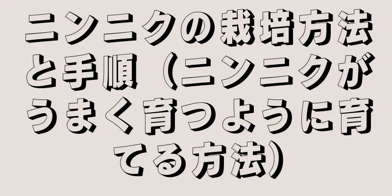 ニンニクの栽培方法と手順（ニンニクがうまく育つように育てる方法）