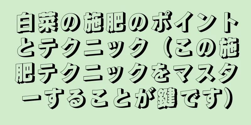 白菜の施肥のポイントとテクニック（この施肥テクニックをマスターすることが鍵です）