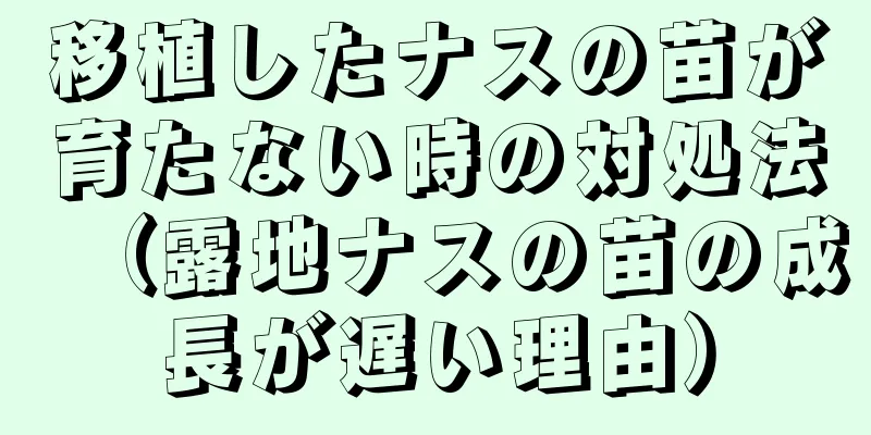 移植したナスの苗が育たない時の対処法（露地ナスの苗の成長が遅い理由）