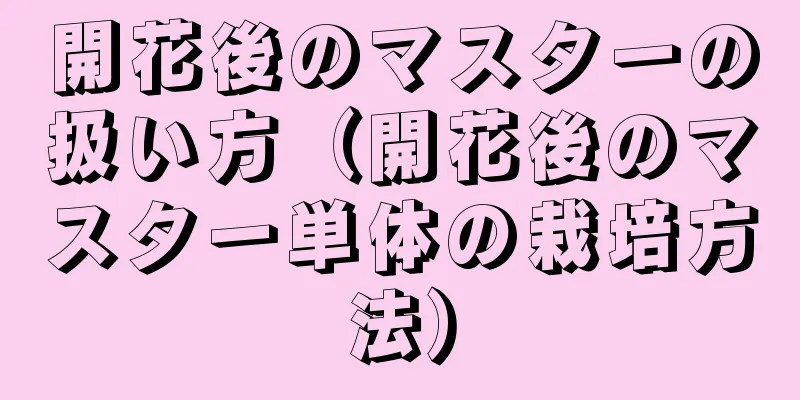 開花後のマスターの扱い方（開花後のマスター単体の栽培方法）