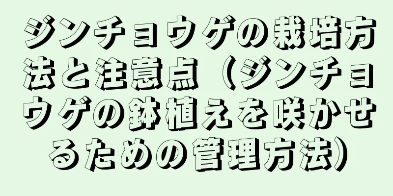 ジンチョウゲの栽培方法と注意点（ジンチョウゲの鉢植えを咲かせるための管理方法）