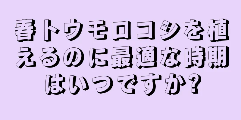 春トウモロコシを植えるのに最適な時期はいつですか?