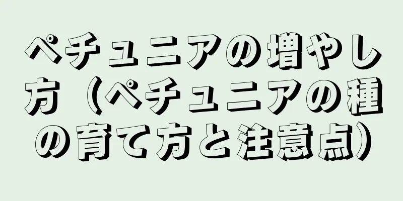 ペチュニアの増やし方（ペチュニアの種の育て方と注意点）