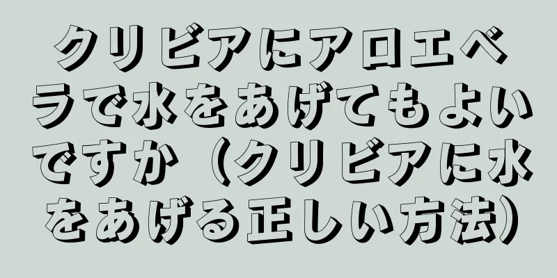 クリビアにアロエベラで水をあげてもよいですか（クリビアに水をあげる正しい方法）
