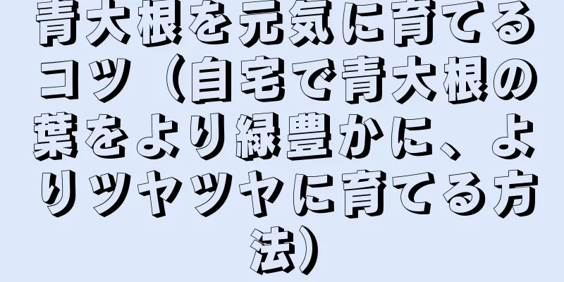 青大根を元気に育てるコツ（自宅で青大根の葉をより緑豊かに、よりツヤツヤに育てる方法）