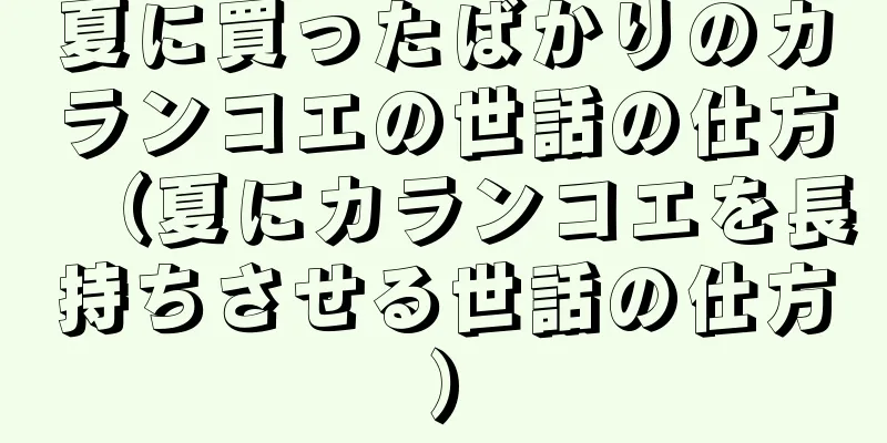 夏に買ったばかりのカランコエの世話の仕方（夏にカランコエを長持ちさせる世話の仕方）