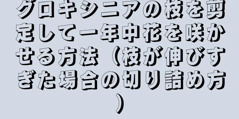 グロキシニアの枝を剪定して一年中花を咲かせる方法（枝が伸びすぎた場合の切り詰め方）
