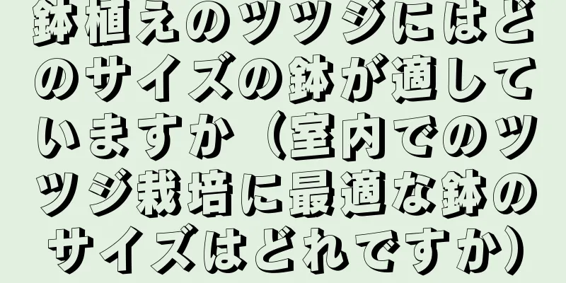 鉢植えのツツジにはどのサイズの鉢が適していますか（室内でのツツジ栽培に最適な鉢のサイズはどれですか）