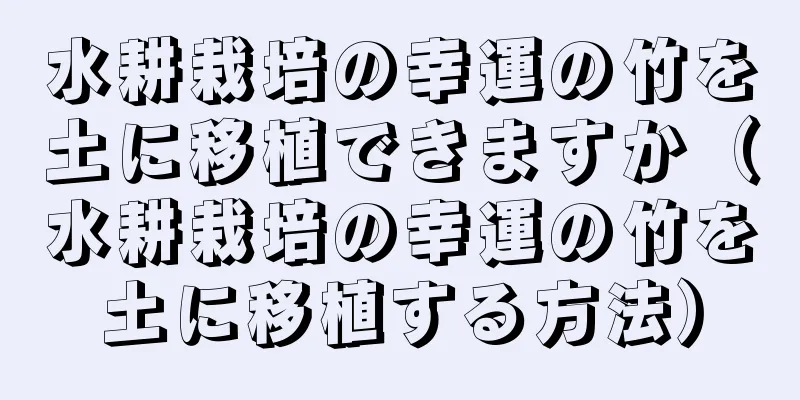 水耕栽培の幸運の竹を土に移植できますか（水耕栽培の幸運の竹を土に移植する方法）