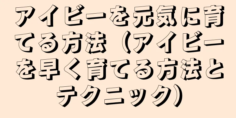 アイビーを元気に育てる方法（アイビーを早く育てる方法とテクニック）