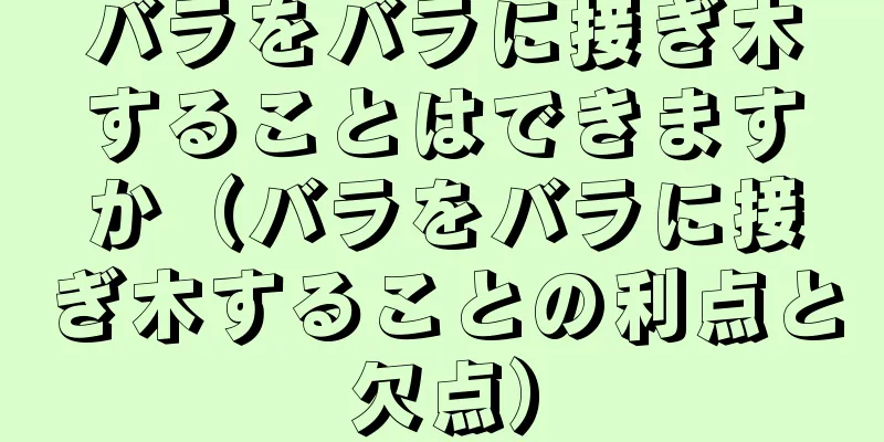 バラをバラに接ぎ木することはできますか（バラをバラに接ぎ木することの利点と欠点）
