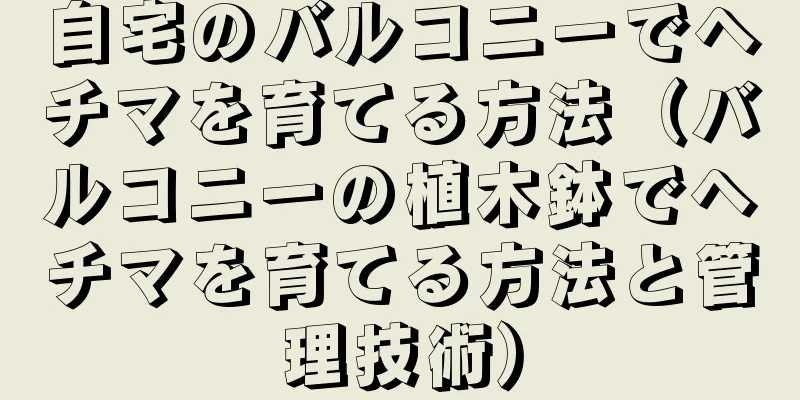 自宅のバルコニーでヘチマを育てる方法（バルコニーの植木鉢でヘチマを育てる方法と管理技術）