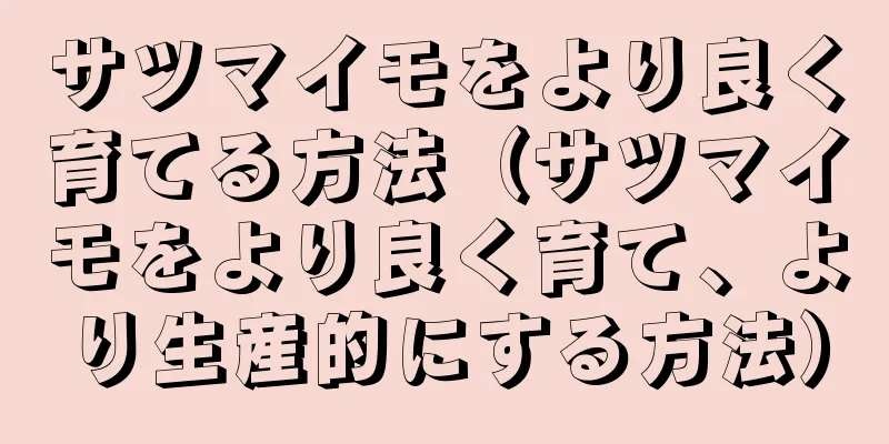 サツマイモをより良く育てる方法（サツマイモをより良く育て、より生産的にする方法）