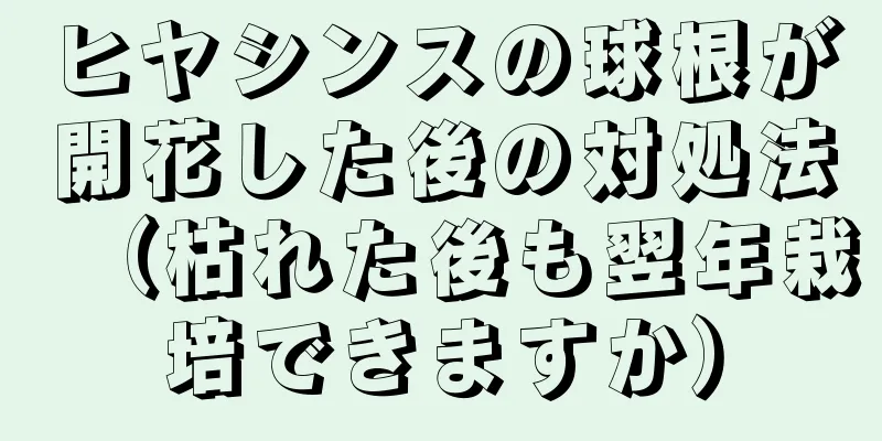 ヒヤシンスの球根が開花した後の対処法（枯れた後も翌年栽培できますか）