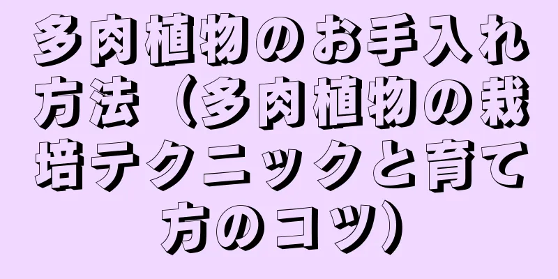 多肉植物のお手入れ方法（多肉植物の栽培テクニックと育て方のコツ）