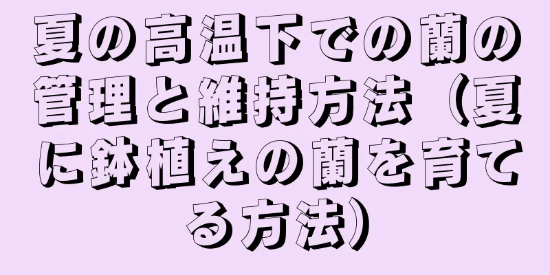 夏の高温下での蘭の管理と維持方法（夏に鉢植えの蘭を育てる方法）
