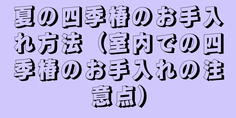 夏の四季椿のお手入れ方法（室内での四季椿のお手入れの注意点）