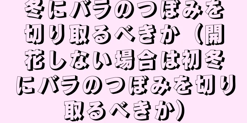 冬にバラのつぼみを切り取るべきか（開花しない場合は初冬にバラのつぼみを切り取るべきか）