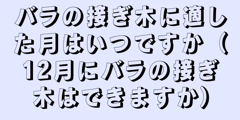バラの接ぎ木に適した月はいつですか（12月にバラの接ぎ木はできますか）