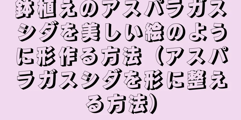 鉢植えのアスパラガスシダを美しい絵のように形作る方法（アスパラガスシダを形に整える方法）